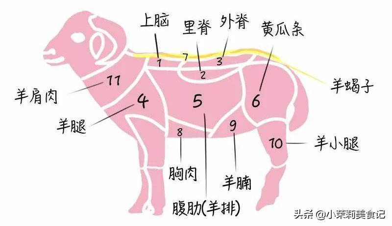 羊身上哪的肉最好吃，经过评比，这5个部位更受欢迎，你都吃过吗