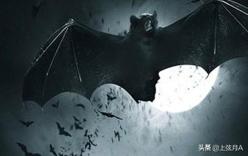 十大最恐怖蝙蝠图片怎么画（十大最恐怖蝙蝠图片）